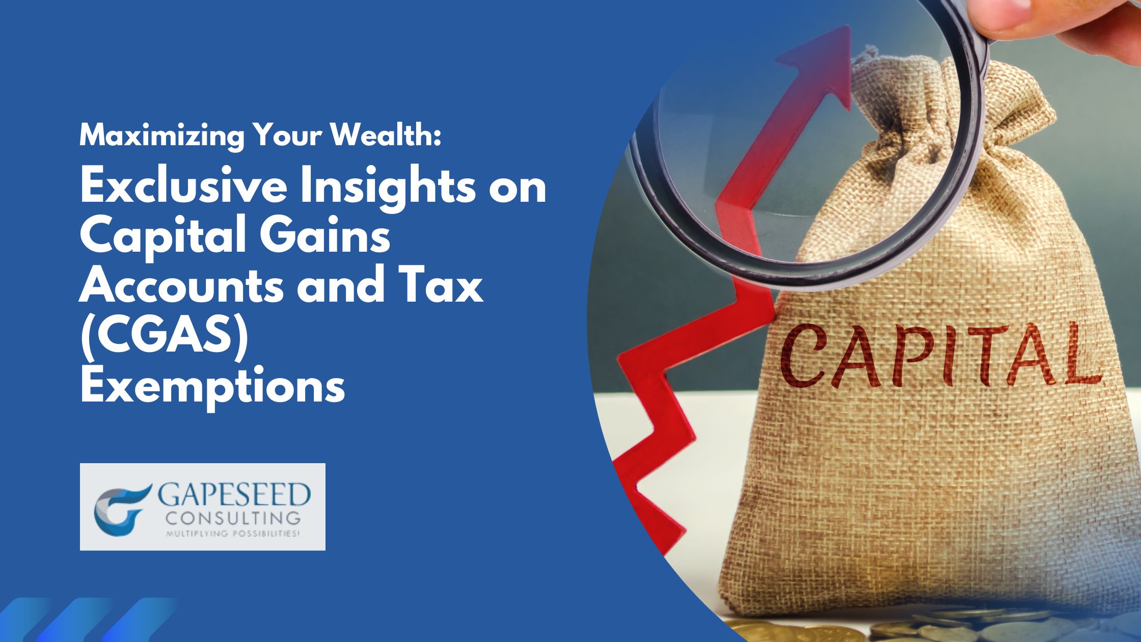 Maximizing Your Wealth: Exclusive Insights on Capital Gains Accounts and Tax Exemptions